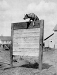 10Ft Leap 1923