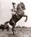 QueenShirley1935 sm